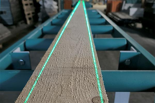 Лазерный указатель пропила МЛЗ-10 — фото 2